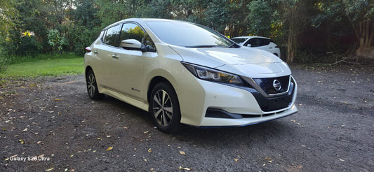 2020 Nissan Leaf X