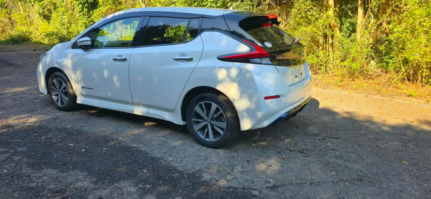 2020 NISSAN LEAF X