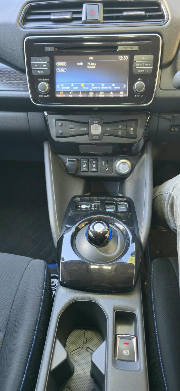 2020 NISSAN LEAF X