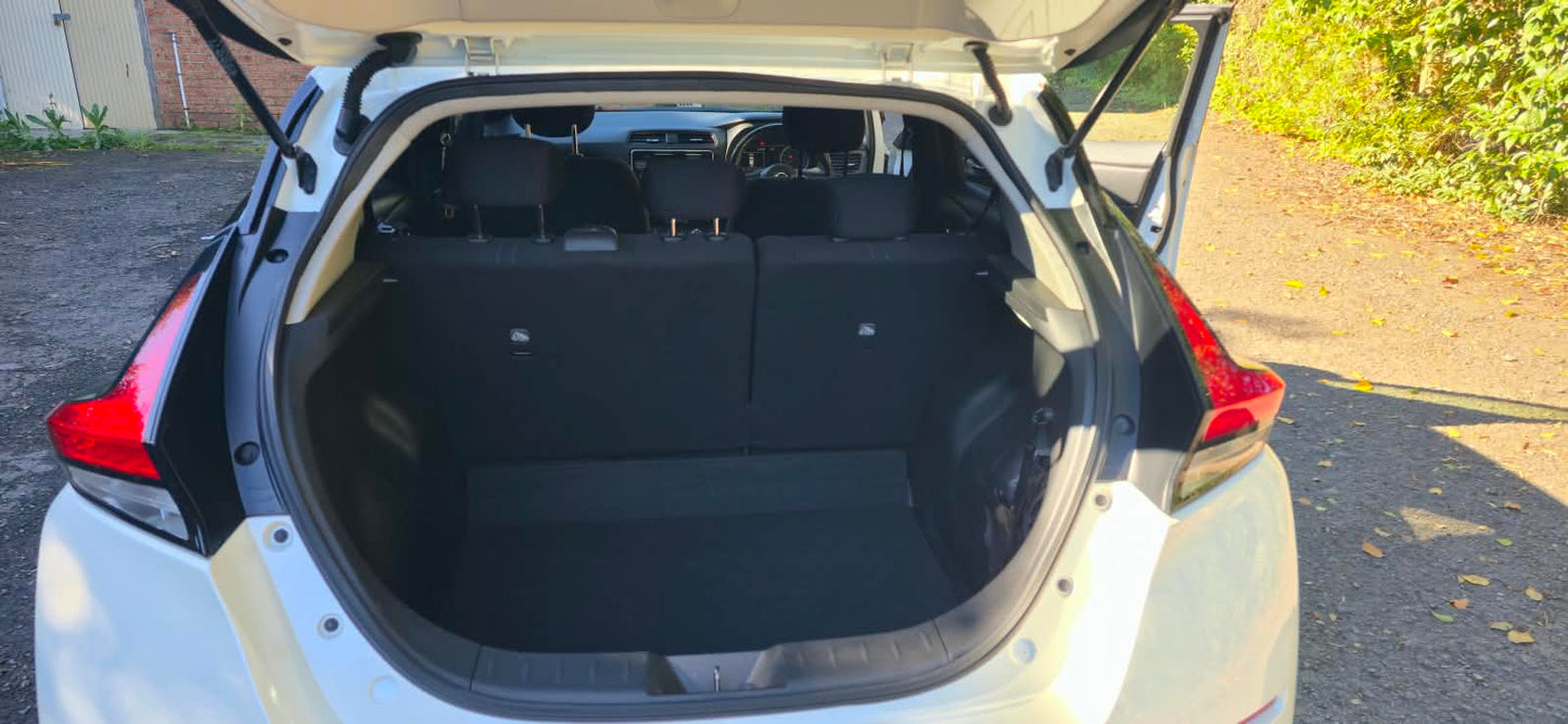 2020 NISSAN LEAF X